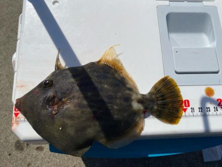 今シーズン初ウマズラ！