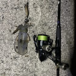 久しぶりのエギング釣行