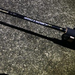 短時間エギング