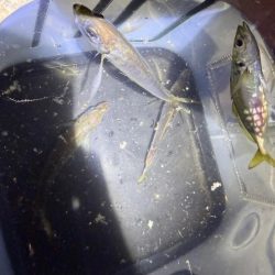 深夜の癒しの時間