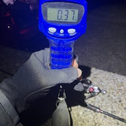 秋🦑　潮が大事！😊