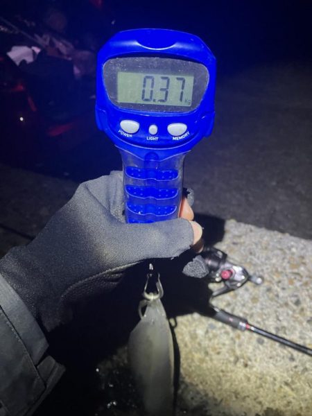 秋🦑　潮が大事！😊