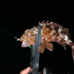 さてどんなものかね