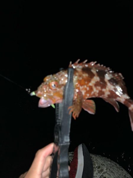 さてどんなものかね