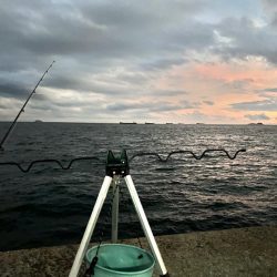 納竿直前の大物！