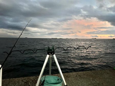 納竿直前の大物！