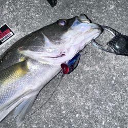 信じた潮回りがあれば…なんとかなる!