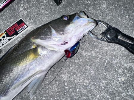 信じた潮回りがあれば…なんとかなる!