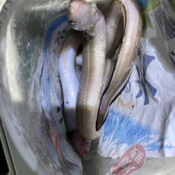 寒いけど楽しい釣行