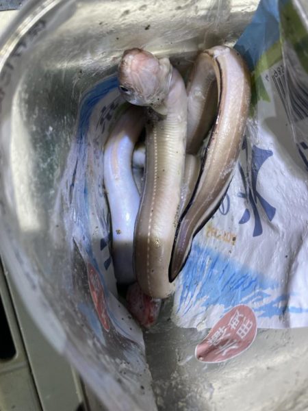 寒いけど楽しい釣行