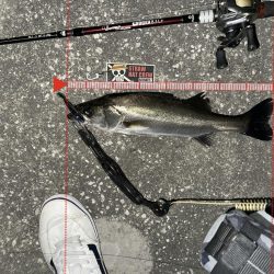 納得いかん…どゆこと？