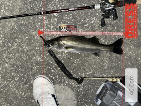 納得いかん…どゆこと？