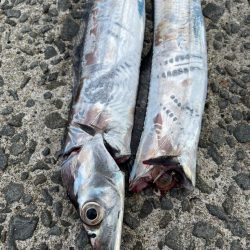 相変わらずの、、