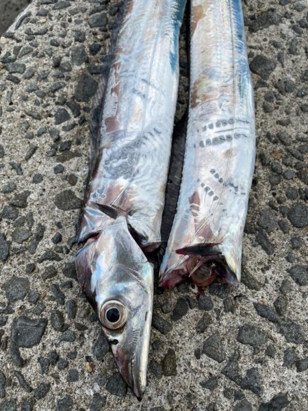 相変わらずの、、