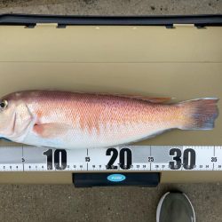 初アマラバで出会えました！