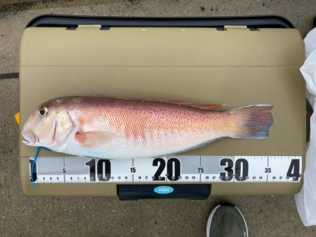 初アマラバで出会えました！