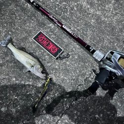 どんどんちっちゃくなる…泣