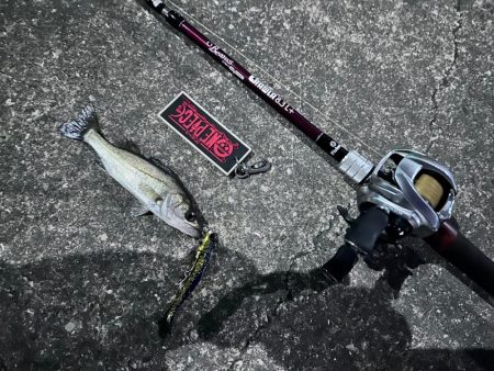 どんどんちっちゃくなる…泣