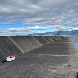 祭りは場所によるんですね。。