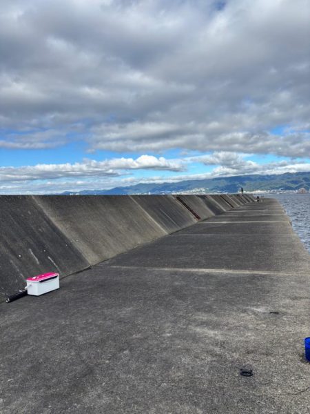 祭りは場所によるんですね。。