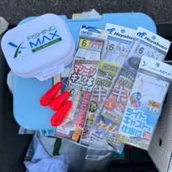 キス釣り、五目釣り