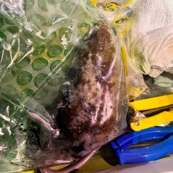 雨のなか、ポツポツと