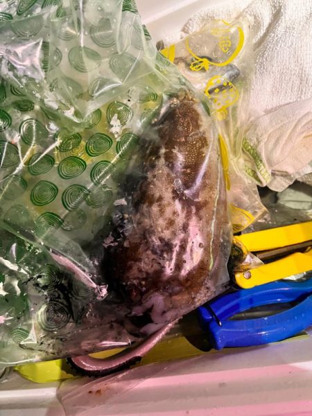 雨のなか、ポツポツと