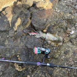 ランガンエギング