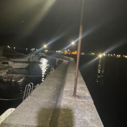 夜エギング好調〜