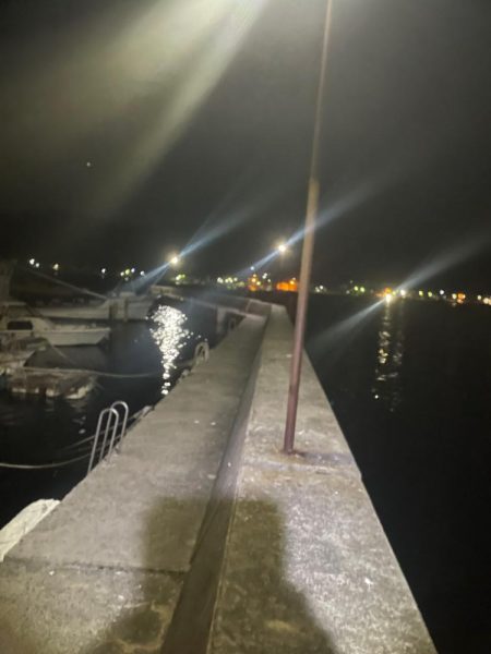 夜エギング好調〜