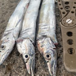 ピンポイントで、