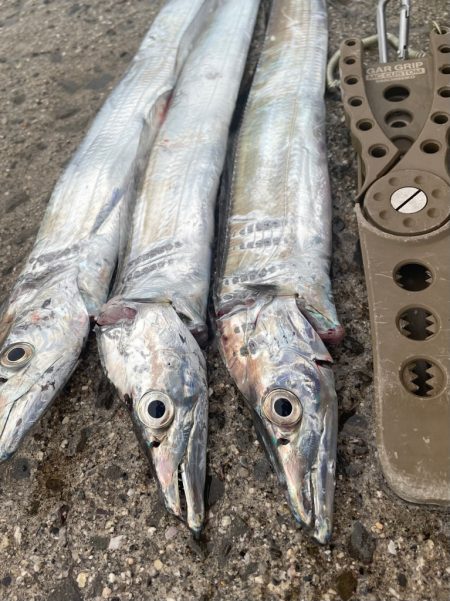 ピンポイントで、