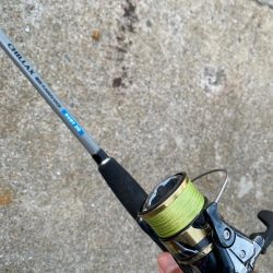 波風強し、スミ2のカワハギスタ