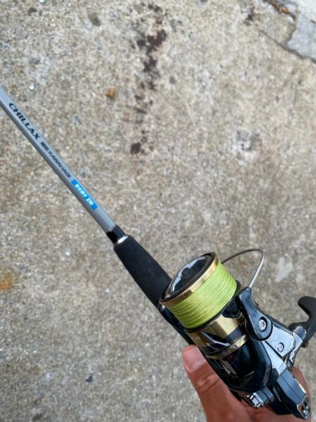 波風強し、スミ2のカワハギスタ