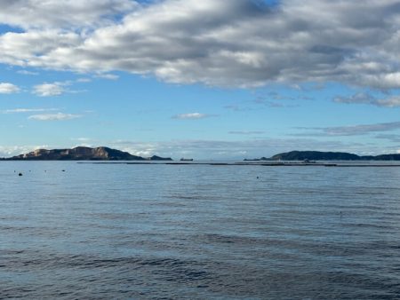 姫路周辺の青物調査！