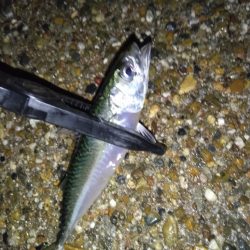 今日は調子悪いねぇ