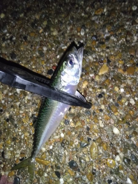 今日は調子悪いねぇ