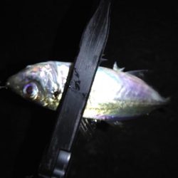 不調の原因がわかった！