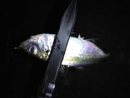 不調の原因がわかった！