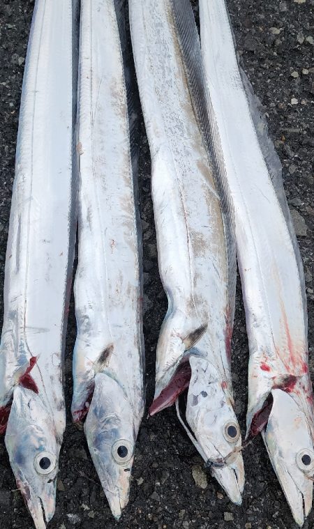 結構渋めでした