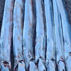 前回よりは調子↑