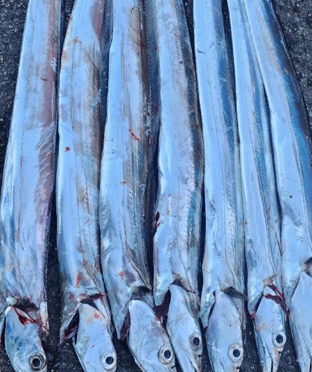 前回よりは調子↑