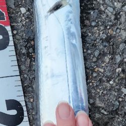 肌寒い中、残念賞