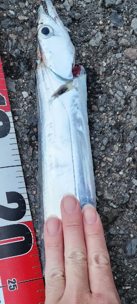 肌寒い中、残念賞