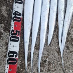 かなりお寒いです