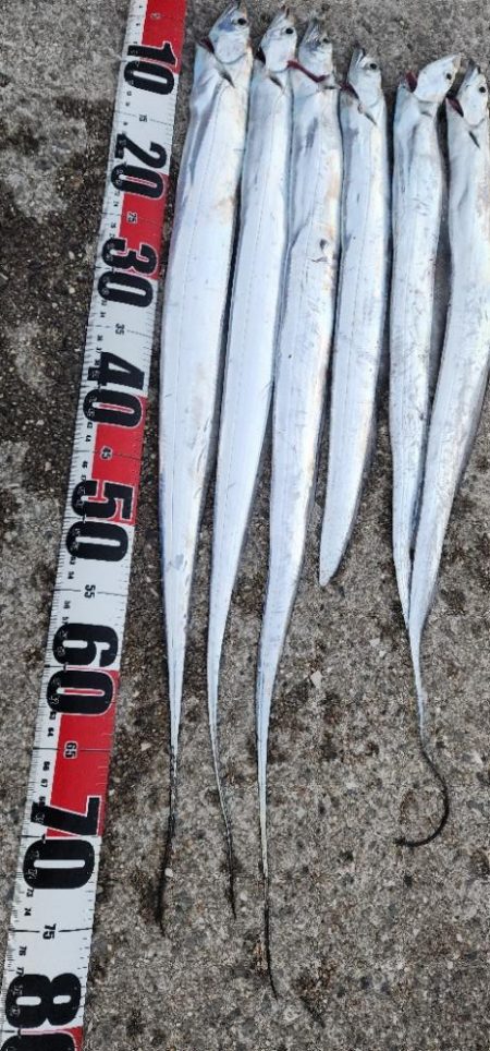 かなりお寒いです