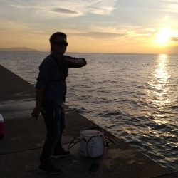 2025秋の青物シーズン開幕②