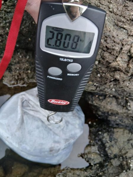 第三回秋エギング調査