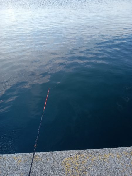 夕暮れのんびりアジ釣り