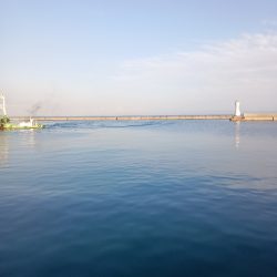 連続釣行、小アジの、型